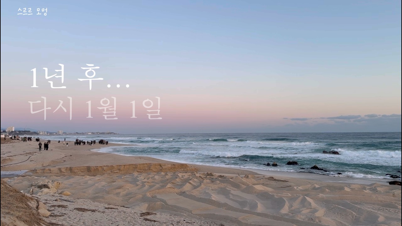 강릉 라이프 vlog. 2026 새해 해맞이. 목공 작업. 마당 고양이와의 일상