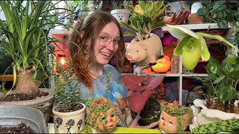 ✨🪴ASMR Q&A pt 2 while repotting a bunch of my house plants🪴✨