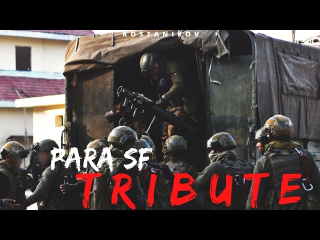 PARA Special Forces - Tribute | Military Motivation | Indian Army | Wolves class=