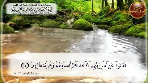 تلاوة هادئة من سورة الذاريات (وفي موسى إذ أرسلناه إلى فرعون) للقارئ الشيخ / أبي يحيى وليد الريدي