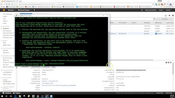 AWS EC2 Cannot connect to the internet