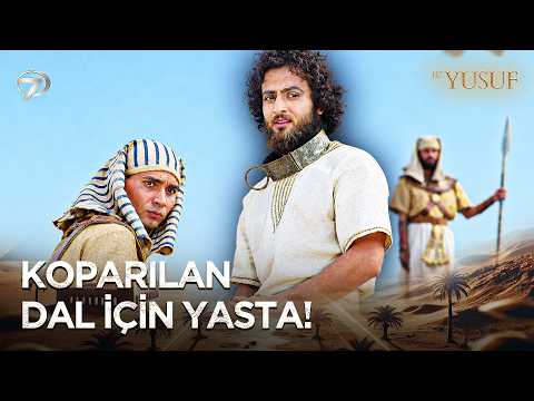 Yusuf'tan Babasına Özlem Dolu Mesaj | Hz. Yusuf