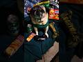 🍁Wugg/20🪴 - Remix #420 #pugs #sega