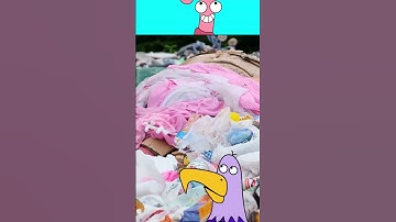 World Cleanup Day 2024