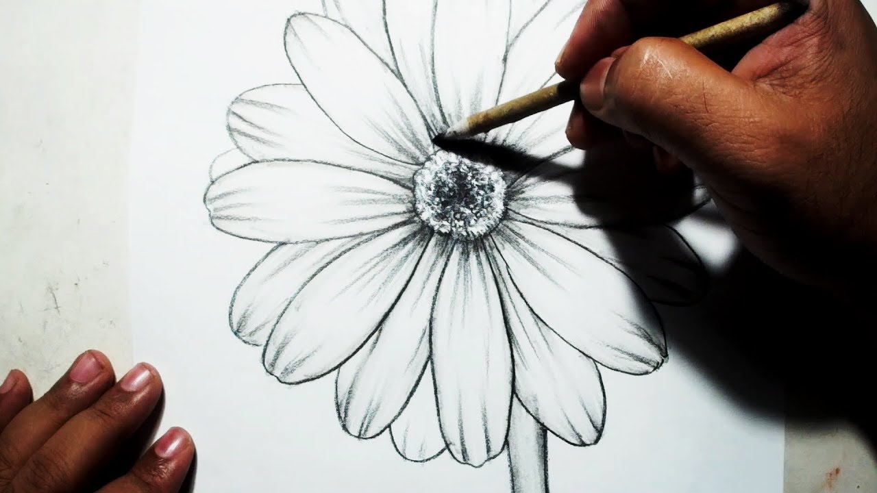 How To Draw A Flower Easy Pencil Drawing