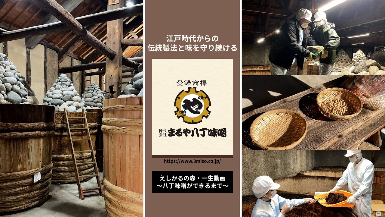 八丁味噌ができるまで | まるや八丁味噌 | 愛知県 岡崎市 | 一生動画 | えしかるの森