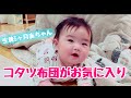 【生後5ヶ月赤ちゃん】コタツ布団がお気に入り