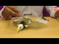 Battery Oprated Flying Eagle Toy in BD || Ajkerdeal Product Unboxing 2018