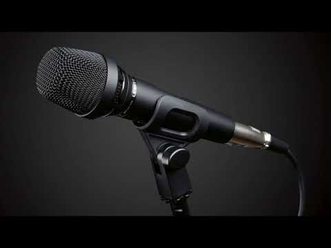 NELINA NAMISLIL STOYAN KARAOKE