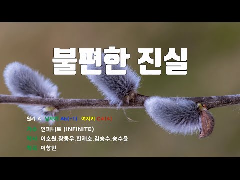 [은성 반주기] 불편한진실 - 인피니트(INFINITE)