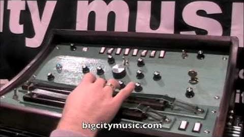 Dewanatron Swarmatron - NAMM 2010 - Big City Music booth