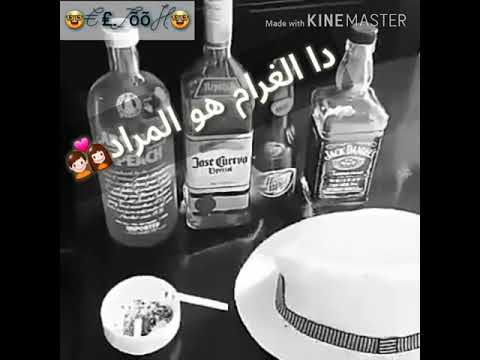 هاتلي ڤوتگا وچيفاز حاله واتس اب حسن شاكوش