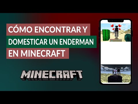 ¿Cómo Encontrar y Domesticar un Enderman en Minecraft? ¿Existe un Enderman Blanco?