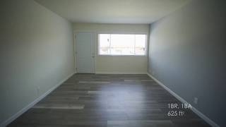 1726 Lacassie Avenue Unit #3