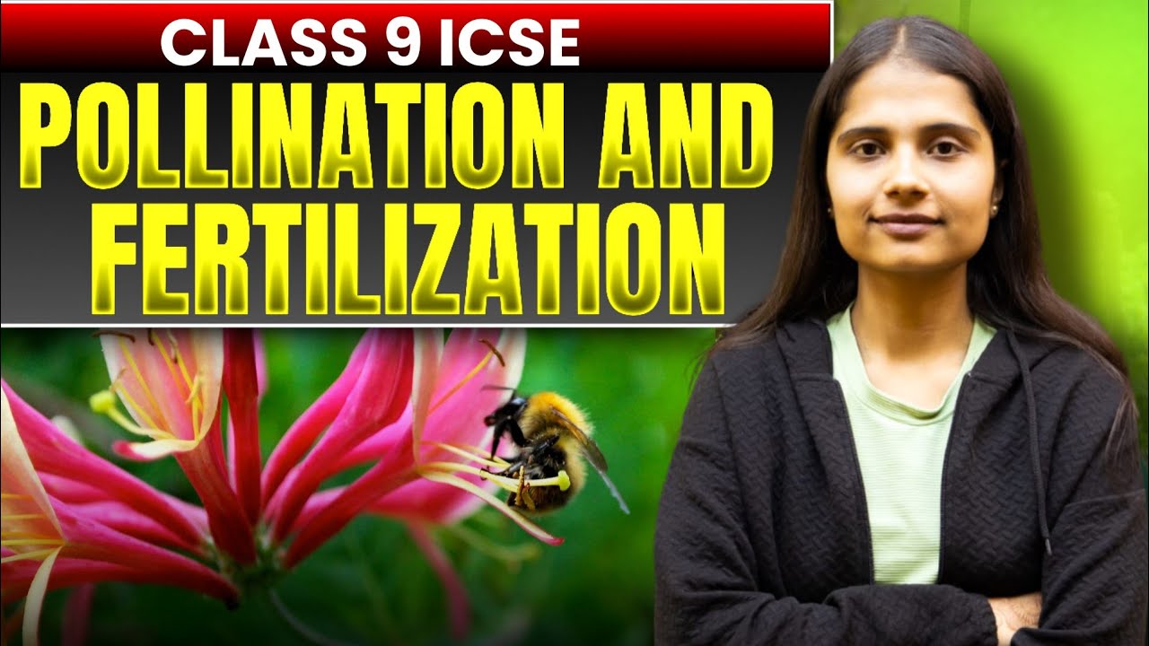 Pollination and Fertilization | Class 9 ICSE | - YouTube