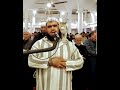 Cat attracted by the quran kisses Imam during Ramadan prayer.