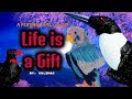 Life is a Gift - Short Film - ROBLOX Feather Family