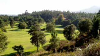 Freguesia de Feitosa