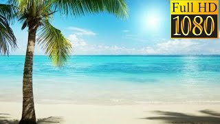 Full HD 1080 video (Ultra HD unbelivevable Beauty)