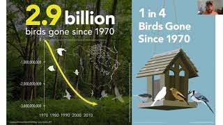 The Golden Winged Warbler in Virginia | Bird Conservation from a State Wildlife Agency Perspective by The Clinch Coalition 44 views 2 years ago 34 minutes