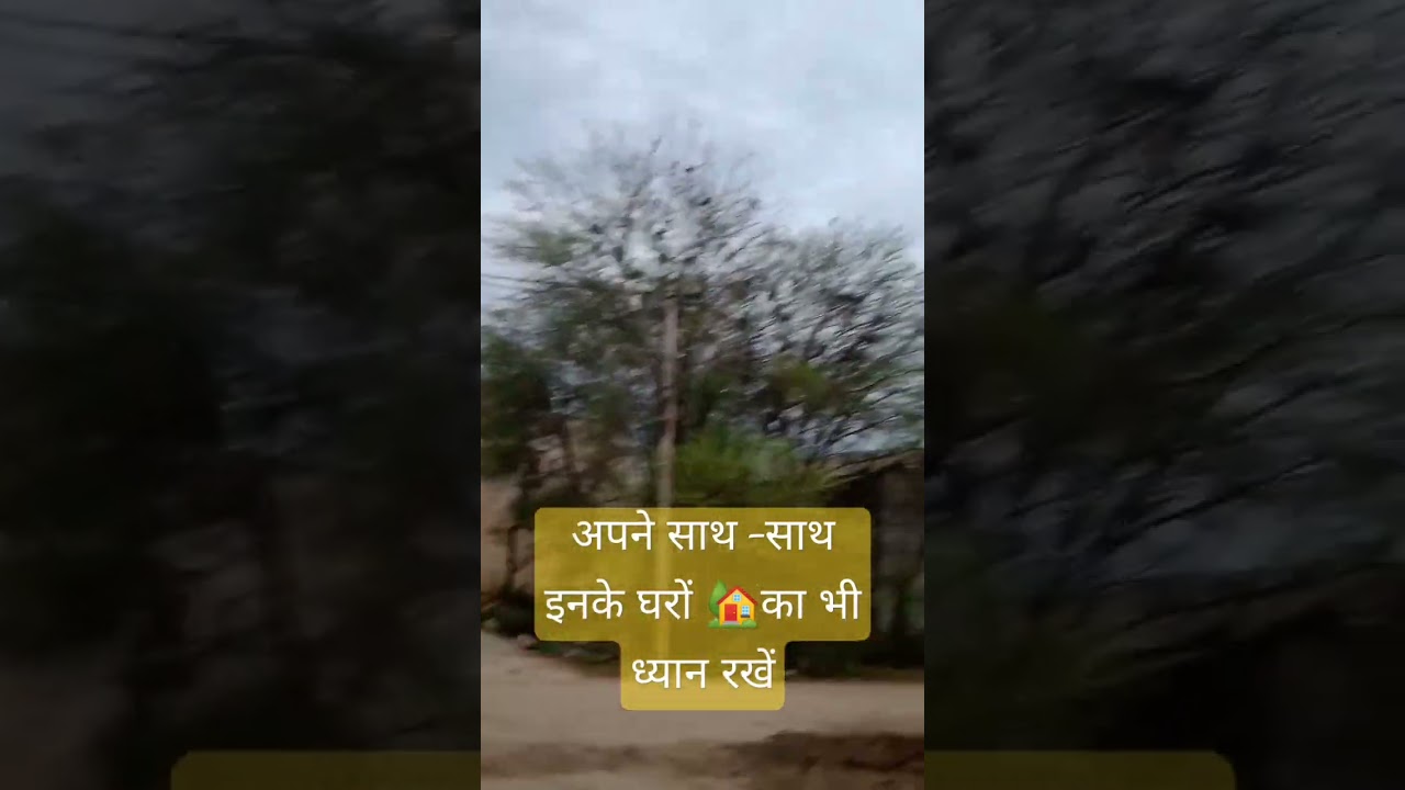 save tree 🌳 save earth🌎 