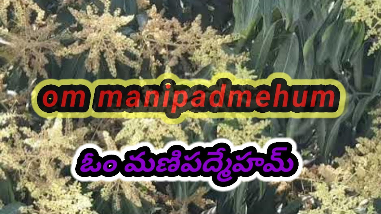 OM Mani padhmehum Powerfull Manthra of Sunday (Sun) #86164 #vikramaditya #vikramadhithya #trending