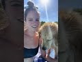 Dog pool party summer tiktok compilation oatmeal chip  adria