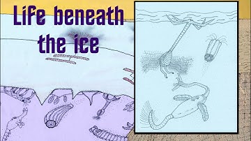 Har Deshur: Amstiel and Rhoson