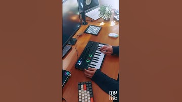 Toto - Hold The Line (Live Loop Cover) | Minilab 3 #ableton #arturia