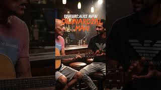 Josef Kaleja & Kalo (Kale) - Dilinardžal man (Alice NatAI Duet Remix) #jazzfunk #guitar #cover
