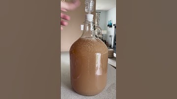 Making Alcohol from Pear juice? #howto #chemistry #diy #recipe