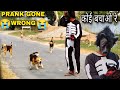 Ghost prank on Dog 🐕🫡// scary ghost prank#ghost#prank#ghostprank#bhoot