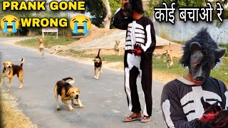 Ghost prank on Dog // scary ghost prank#ghost#prank#ghostprank#bhoot