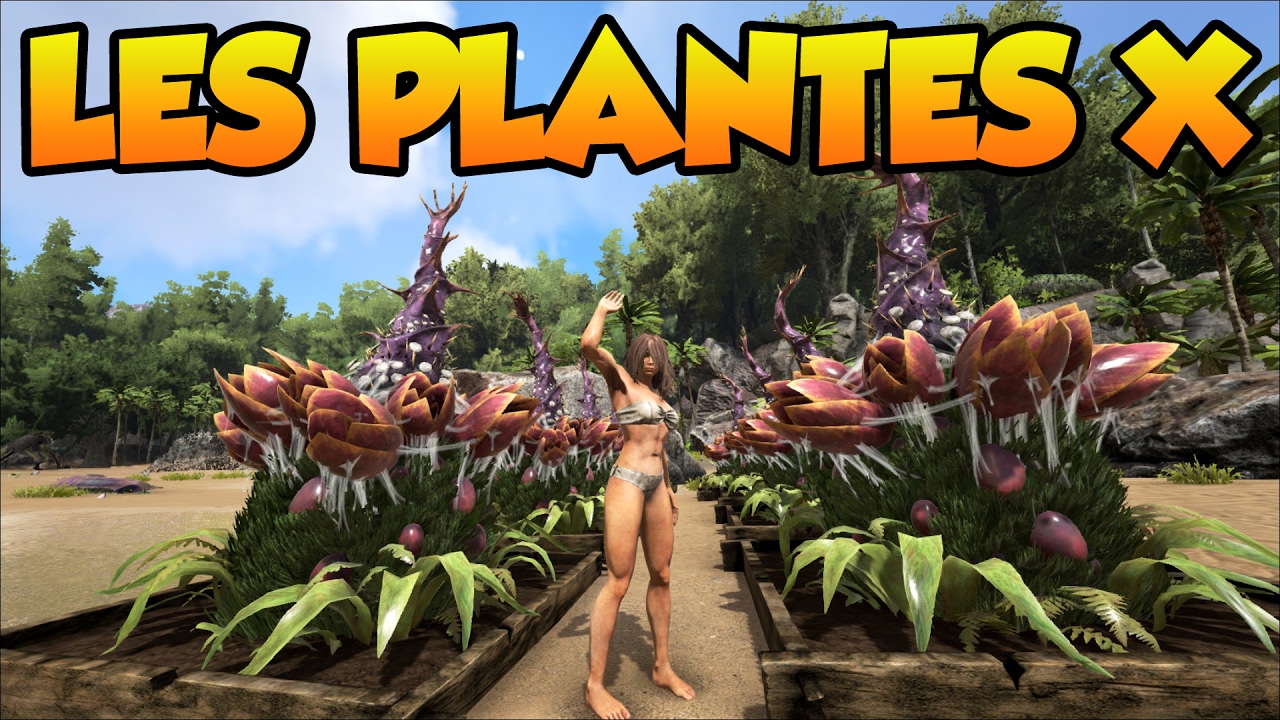 comment planter plante x ark