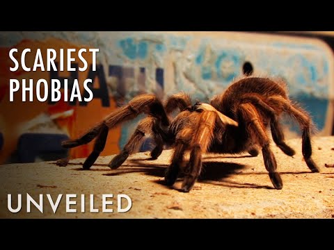 Which Phobia is the Scariest of All? | Unveiled