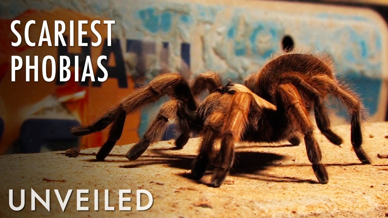 Which Phobia is the Scariest of All? Unveiled YouTube