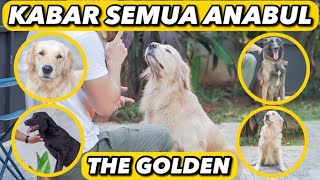 UPDATE SEMUA ANABUL THE GOLDEN