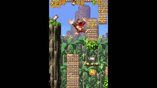 Game Over: Donkey Kong - Jungle Climber (Nintendo DS) screenshot 5