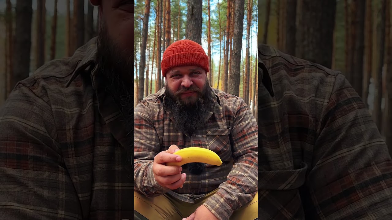 Гибискус медведкулы VS Агростартап. Что лучше для вашей фермы? #Разберись #Агростартап #АПК