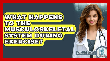 What Happens To The Musculoskeletal System During Exercise? - Orthopedic Support Network