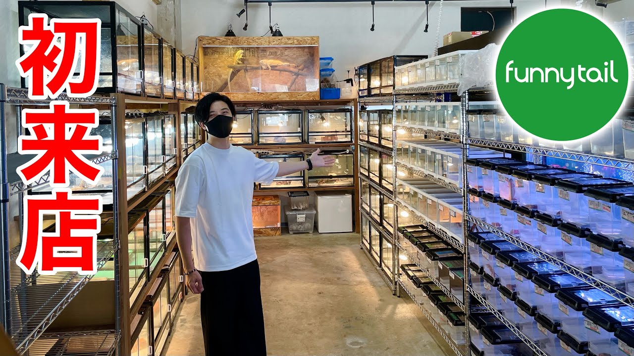 ブラックナイト本家を扱う爬虫類ショップに潜入したら金魚専門店まであったりと色々凄かった...！