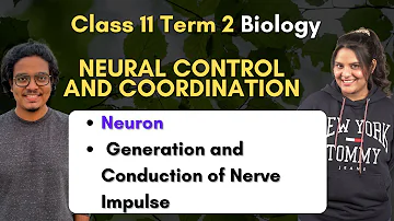 Neural Control and Coordination - L1 | Neuron | Generation and Conduction of Nerve Impulse | Biology