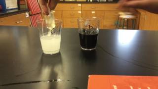 Iodine Starch Diffusion Lab   What went wrong?