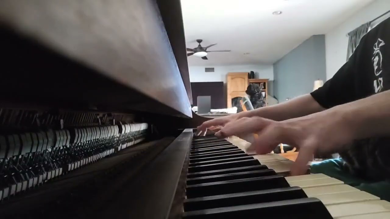 Playin the piano with my cat (not clickbait)