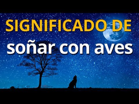 Video: ¿Qué quieres decir con oaves?