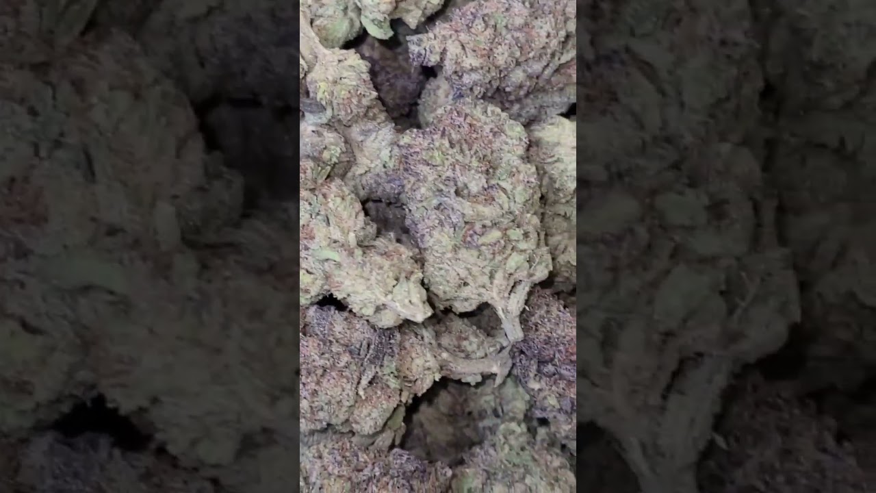 Purple Frost THCa Exotic Indoor Flower