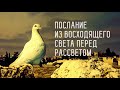 Послание из восходящего света перед рассветом