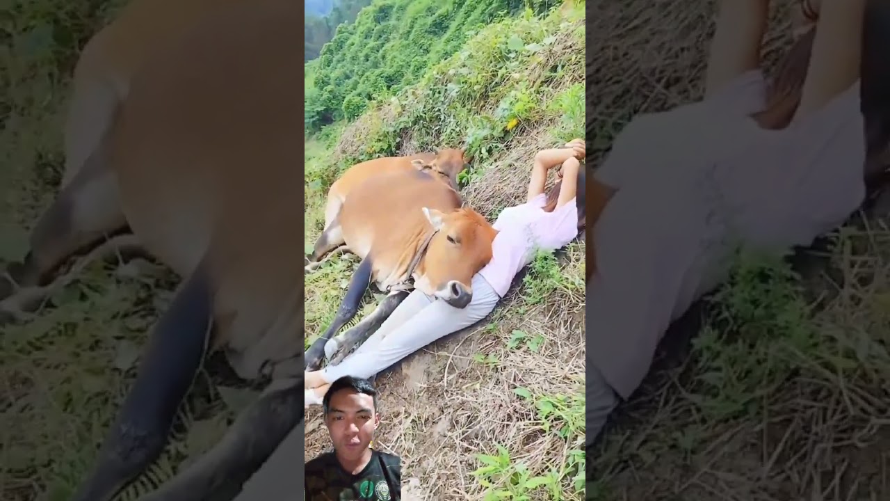 Sarap siguro ma tulog pag ganito unan mo hahaha #highlights #funnyvideo #trending #shortvideo