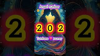 Famous Angel number 202 meaning in twin flame journey #hindi #angelnumber #twinfalme Net Worth