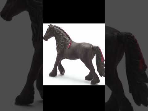 Video: Kuinka monta kromosomiparia hevosilla on?